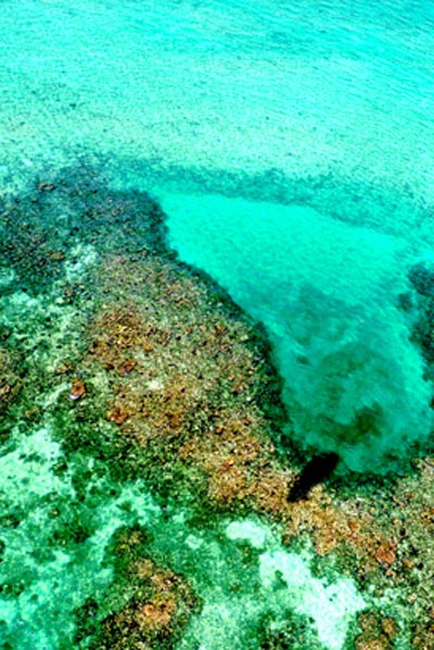 Arrecife en frente Almaplena Resort