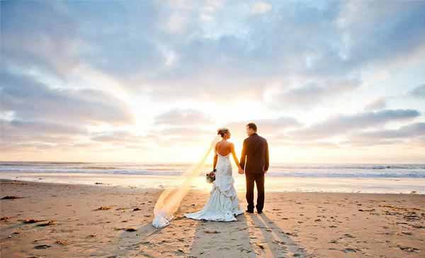 Beach Wedding Almaplena